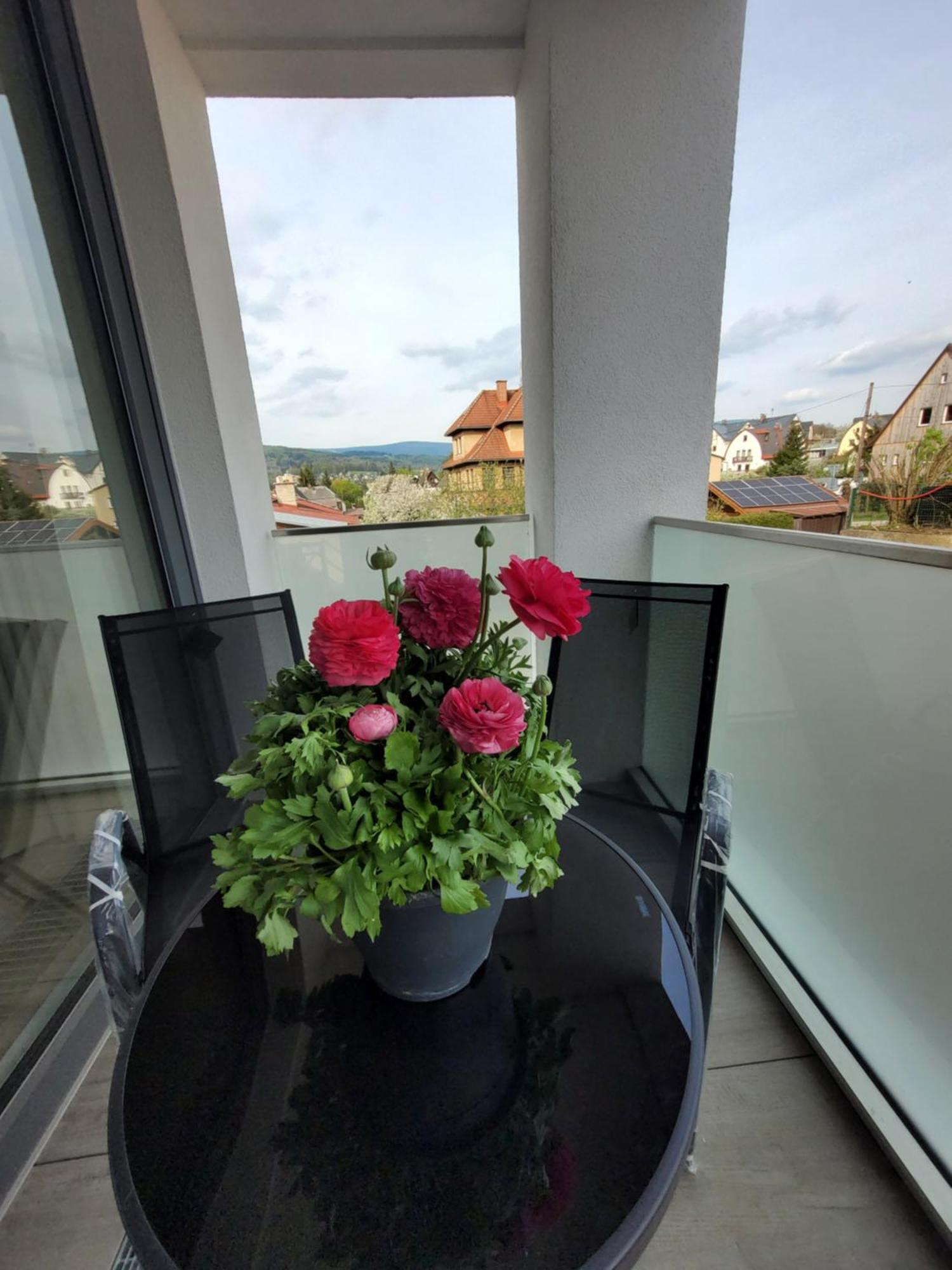 Apartman Bohemika Deluxe Vrchlabi Luaran gambar